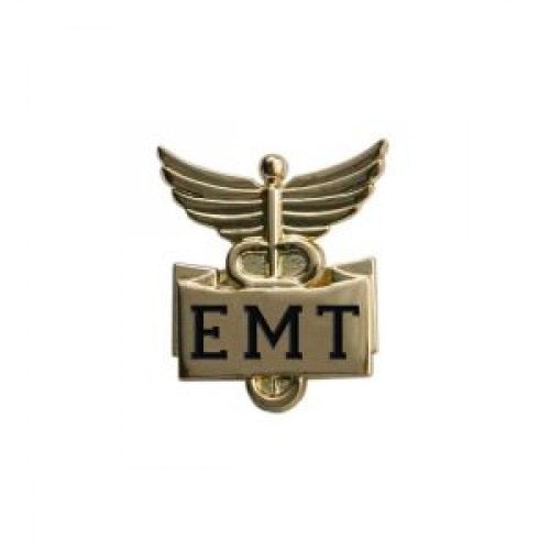 Professional Lapel Pin