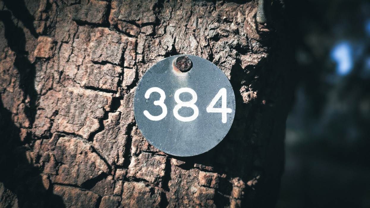 rausch sturm file number