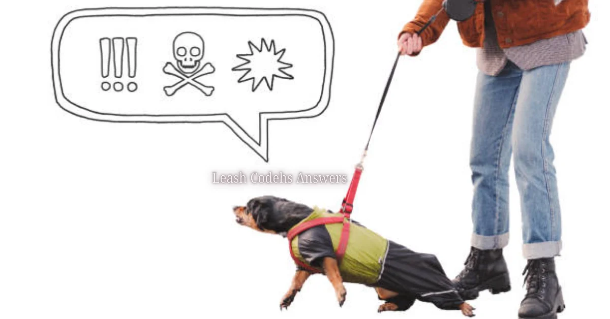 Leash Codehs Answers