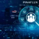 pinaflux