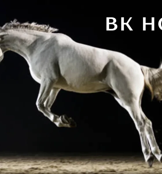 bk horse