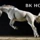 bk horse