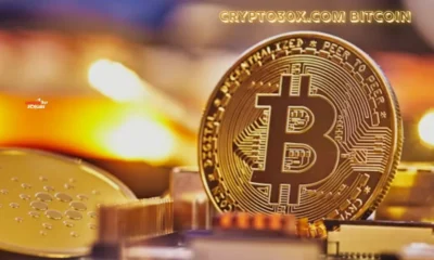 Crypto30x.com Bitcoin