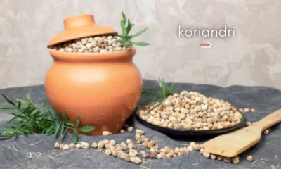 koriandri
