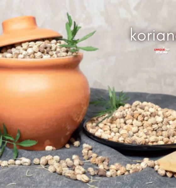 koriandri