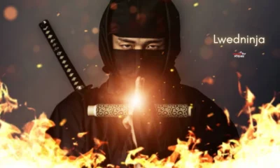 lwedninja
