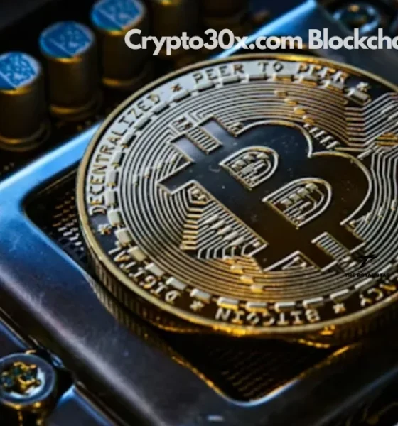 Crypto30x.com Blockchain