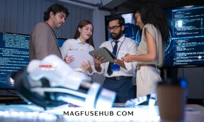 magfusehub com